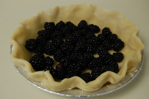 Blackberry Pecan Pie